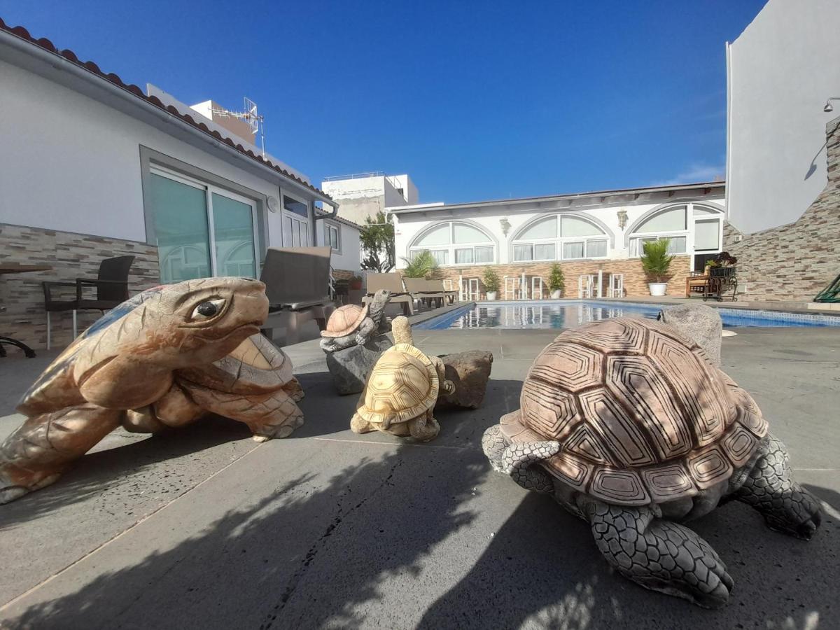 Tenerife Little Village S サン・イシドロ エクステリア 写真