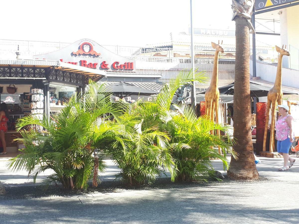 Tenerife Little Village S サン・イシドロ エクステリア 写真
