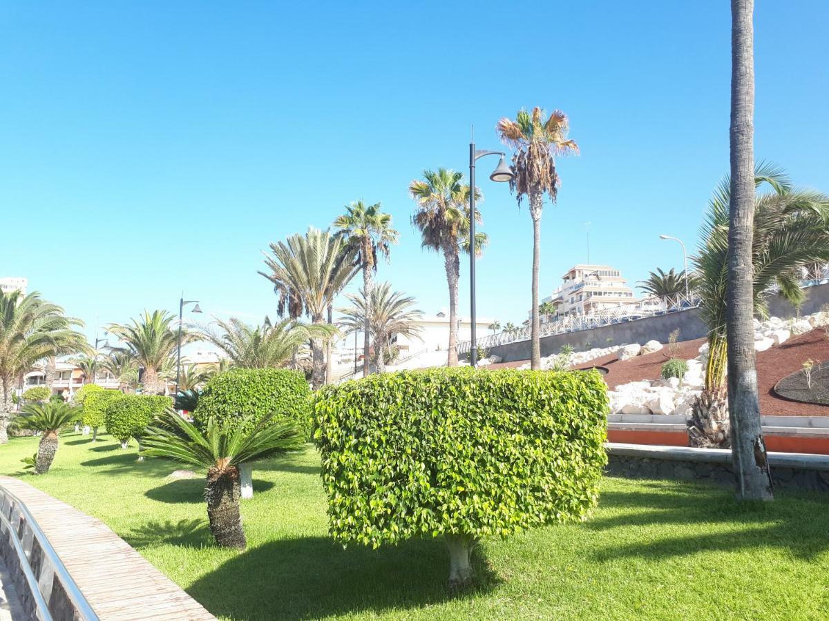 Tenerife Little Village S サン・イシドロ エクステリア 写真